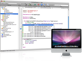Sample Xcode window