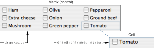A control coordinating the drawing of a cell