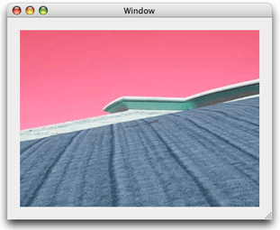 The image after applying the color controls filter
