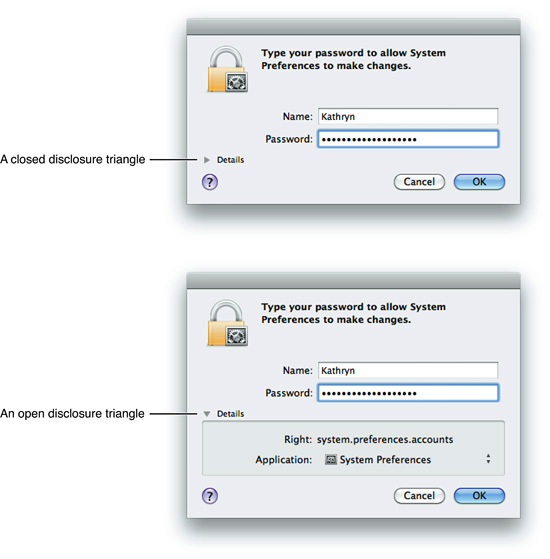 Disclosure triangle used to progressively reveal dialog contents