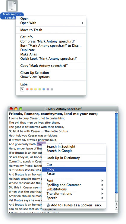 A contextual menu for an icon in the Finder and for a text selection in a document