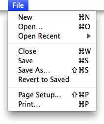 The File menu