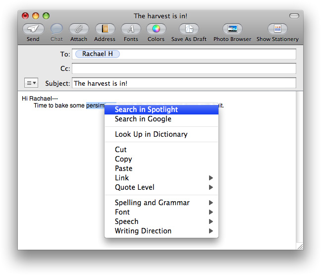 Spotlight search in a contextual menu