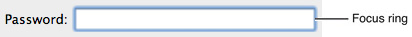 Keyboard focus for a text field
