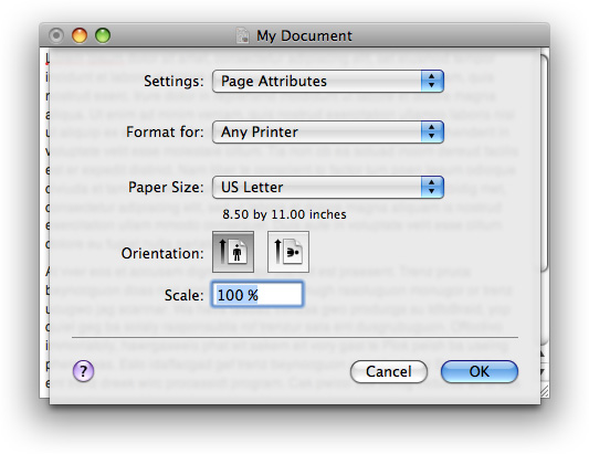 The Page Setup dialog